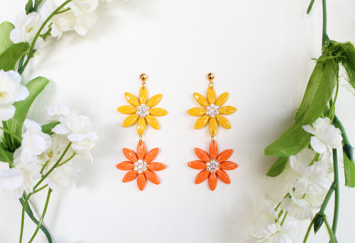 Orange and yellow daisies